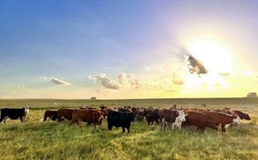 WhatsApp Image 2026-03-23 at 15.11.40 (4)