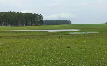 WhatsApp Image 2026-03-26 at 14.47.25 (2)