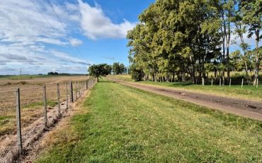 WhatsApp Image 2026-03-26 at 15.10.20