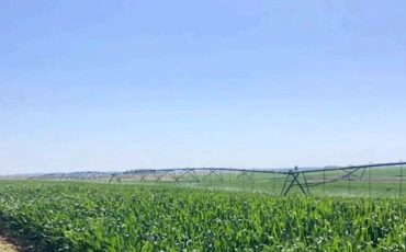 WhatsApp Image 2026-03-27 at 14.16.16