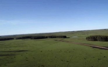 WhatsApp Image 2026-03-27 at 14.51.15 (1)