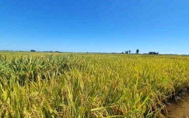 WhatsApp Image 2026-03-31 at 14.10.38